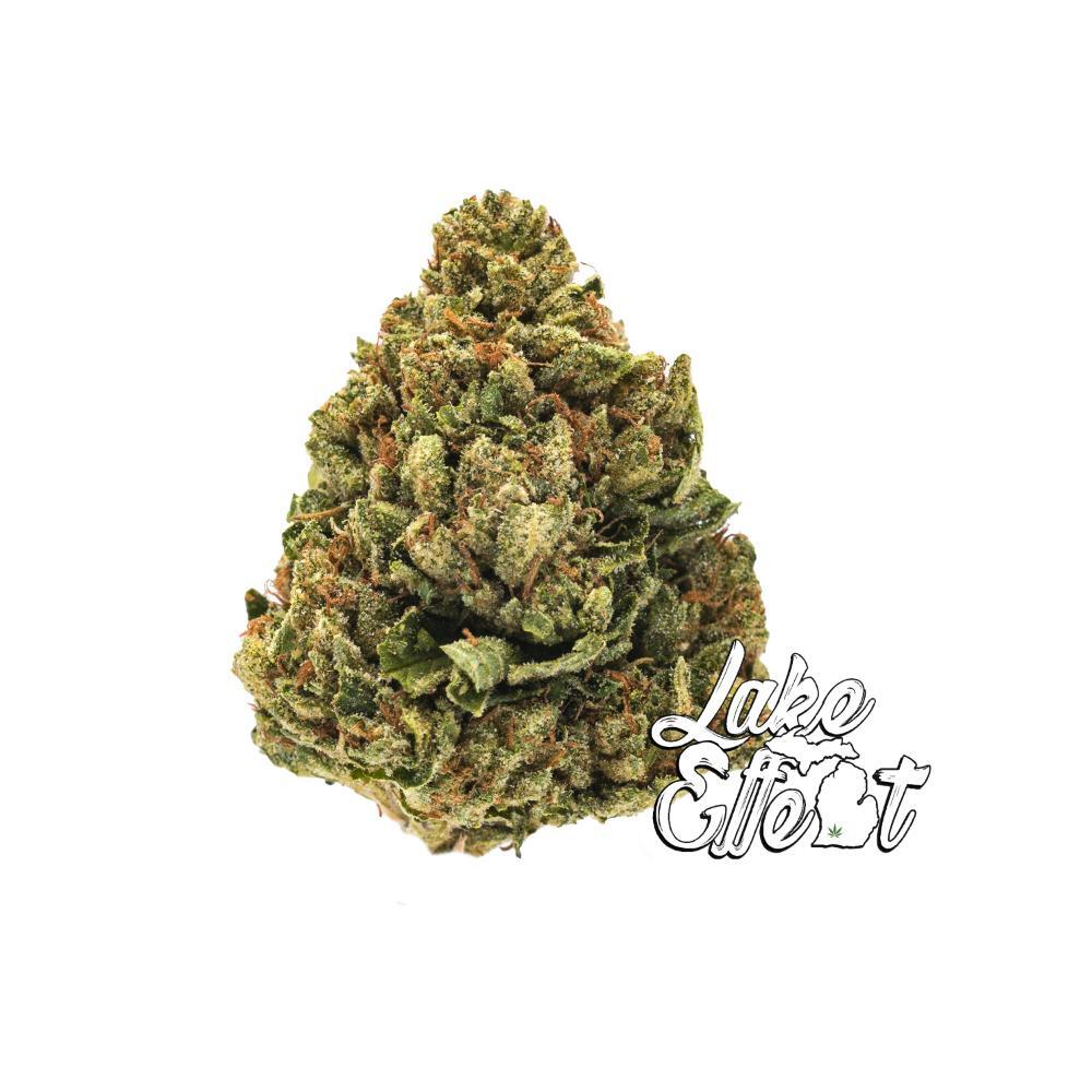 SFV OG
